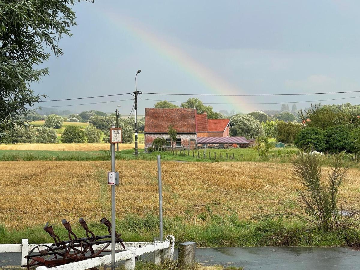 Parel - Perle De Bievene Bever